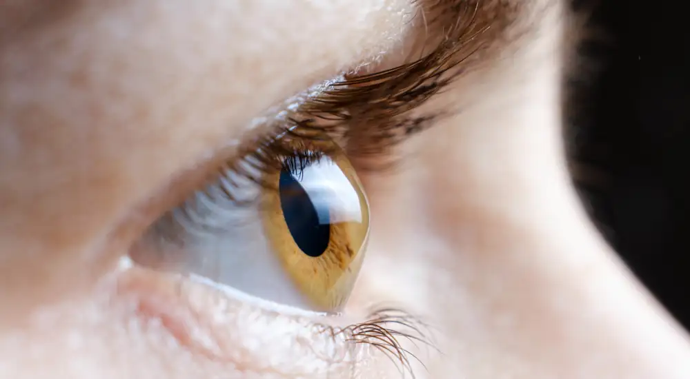 Corneal Disease Management